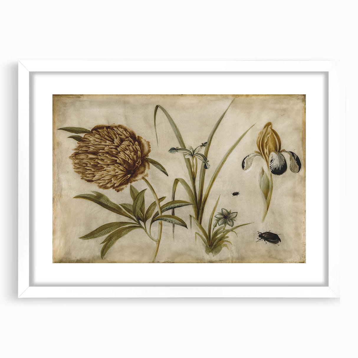 Grunge Wall Art: Botanical Insects Illustration | Vintage Grunge Canvas Print