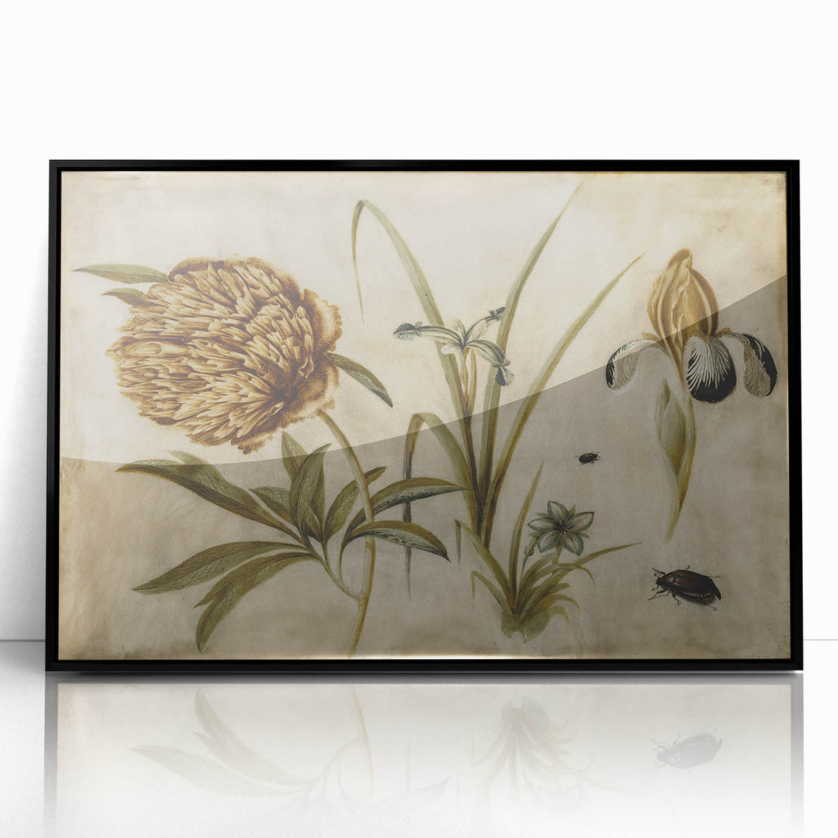 Grunge Wall Art: Botanical Insects Illustration | Vintage Grunge Canvas Print