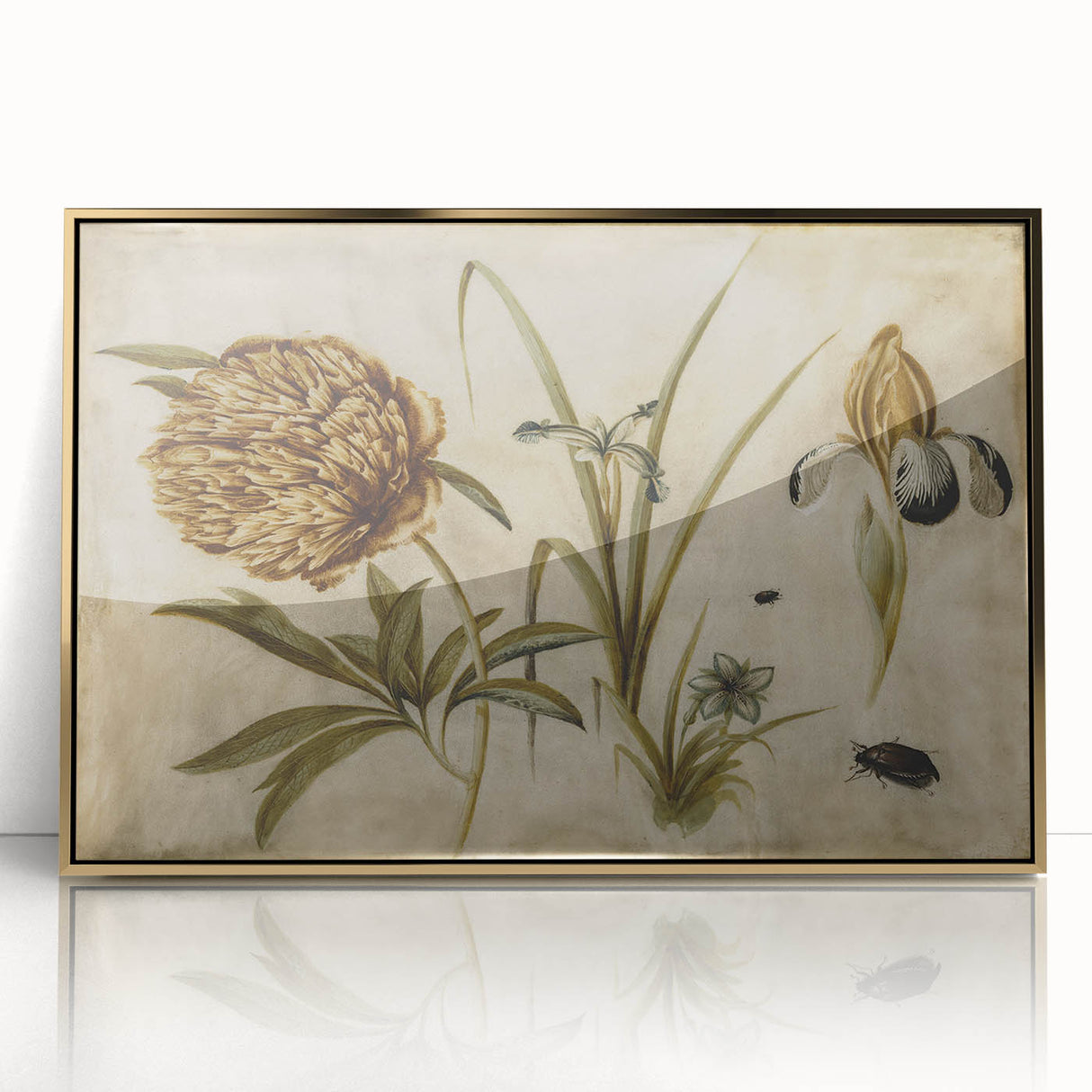 Grunge Wall Art: Botanical Insects Illustration | Vintage Grunge Canvas Print