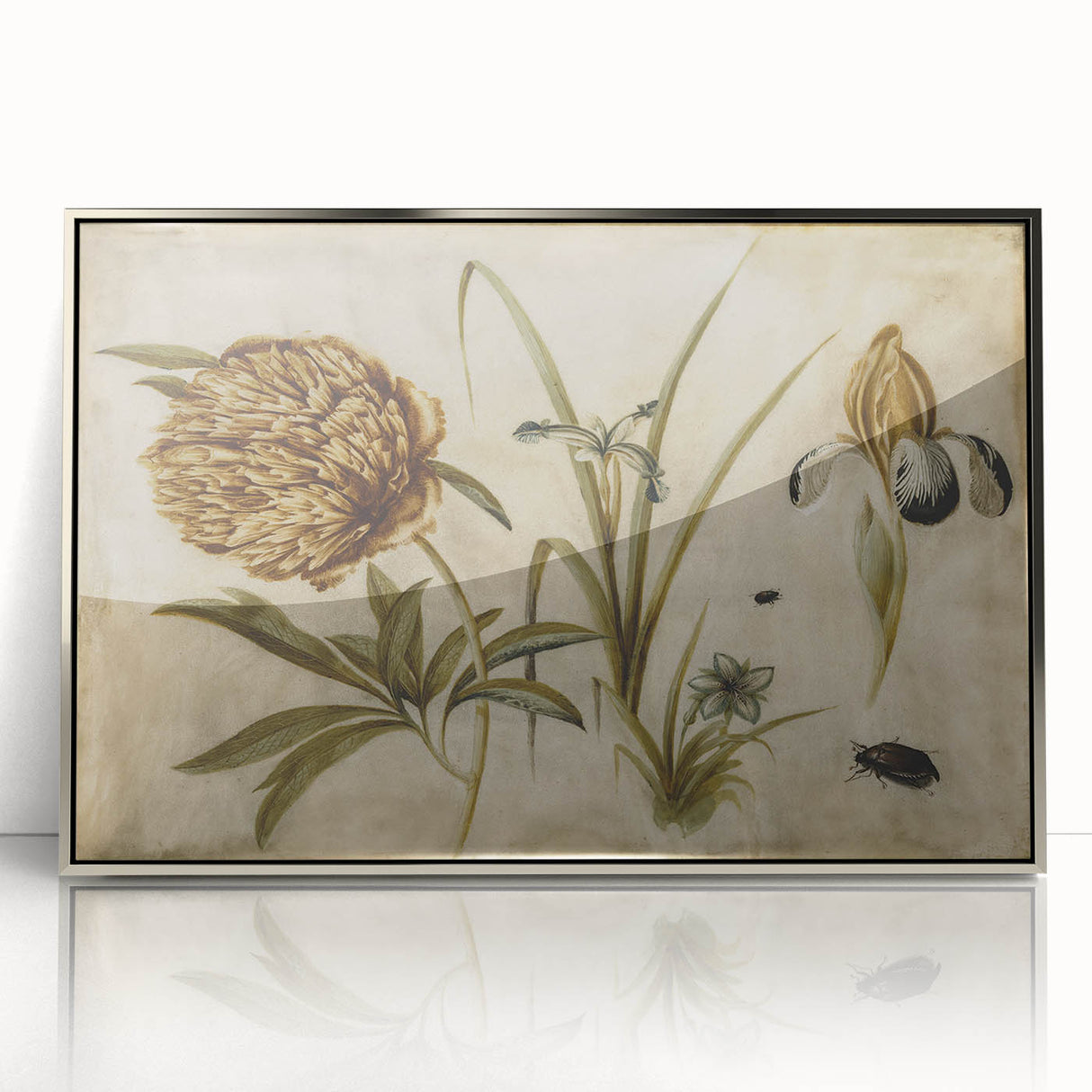 Grunge Wall Art: Botanical Insects Illustration | Vintage Grunge Canvas Print