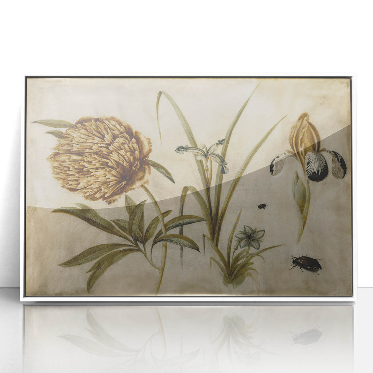 Grunge Wall Art: Botanical Insects Illustration | Vintage Grunge Canvas Print