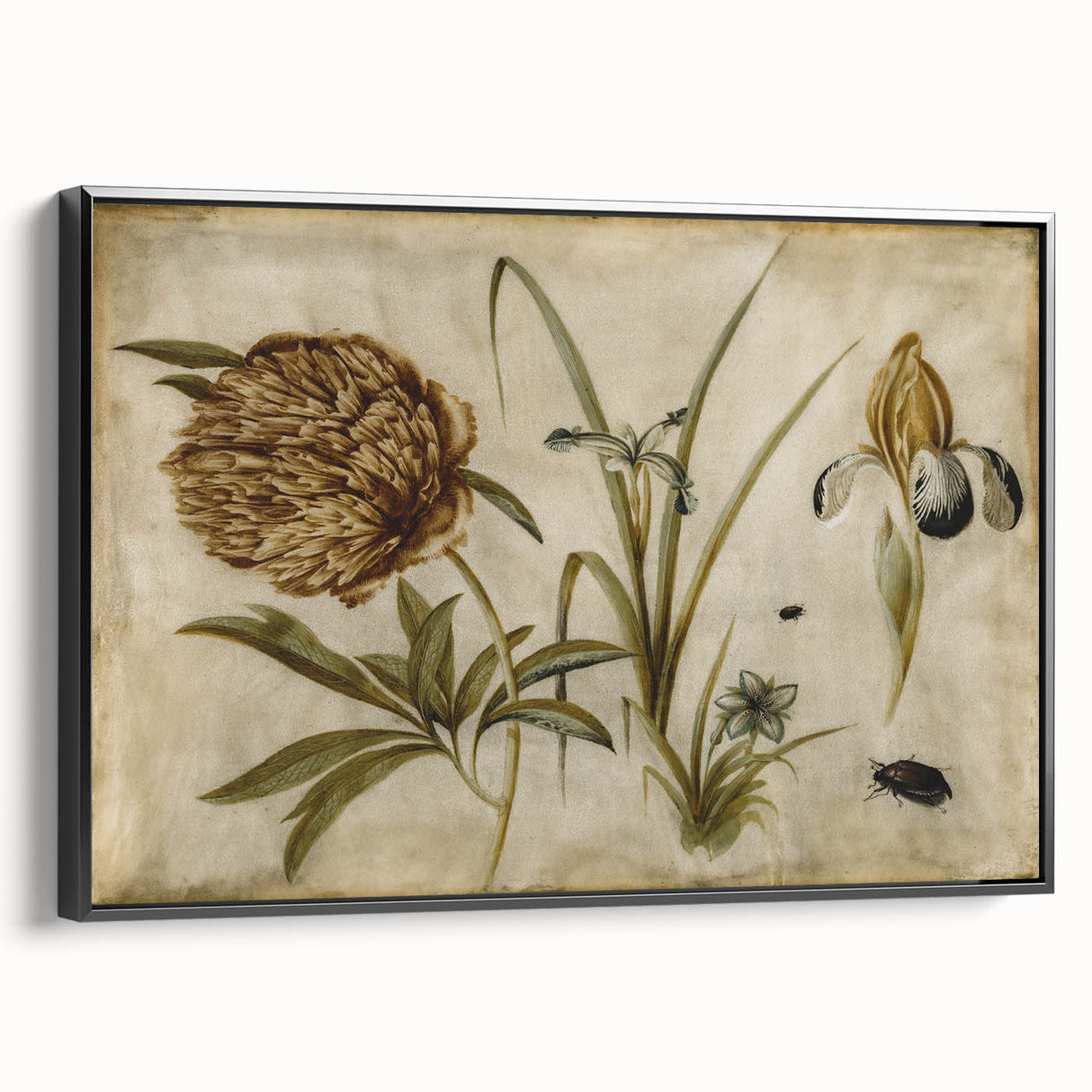 Grunge Wall Art: Botanical Insects Illustration | Vintage Grunge Canvas Print