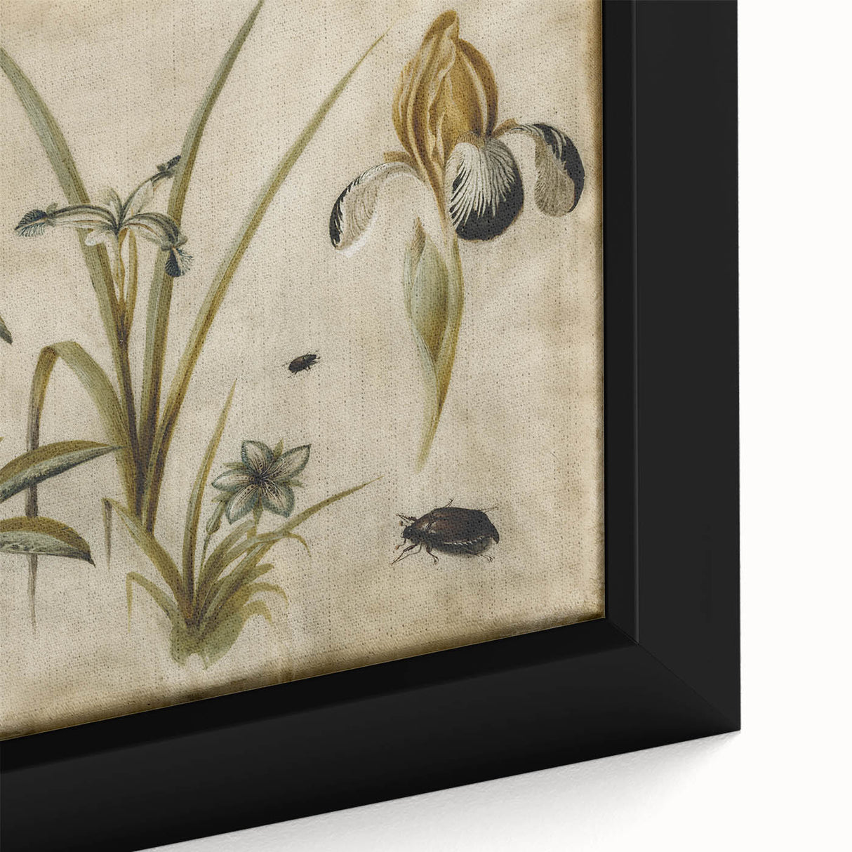 Grunge Wall Art: Botanical Insects Illustration | Vintage Grunge Canvas Print