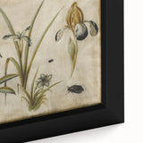 Grunge Wall Art: Botanical Insects Illustration | Vintage Grunge Canvas Print