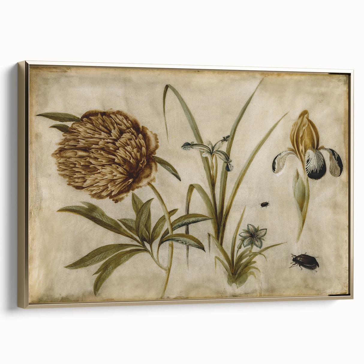 Grunge Wall Art: Botanical Insects Illustration | Vintage Grunge Canvas Print