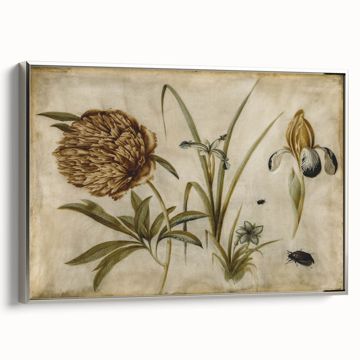 Grunge Wall Art: Botanical Insects Illustration | Vintage Grunge Canvas Print