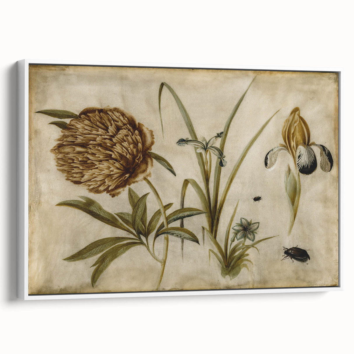 Grunge Wall Art: Botanical Insects Illustration | Vintage Grunge Canvas Print