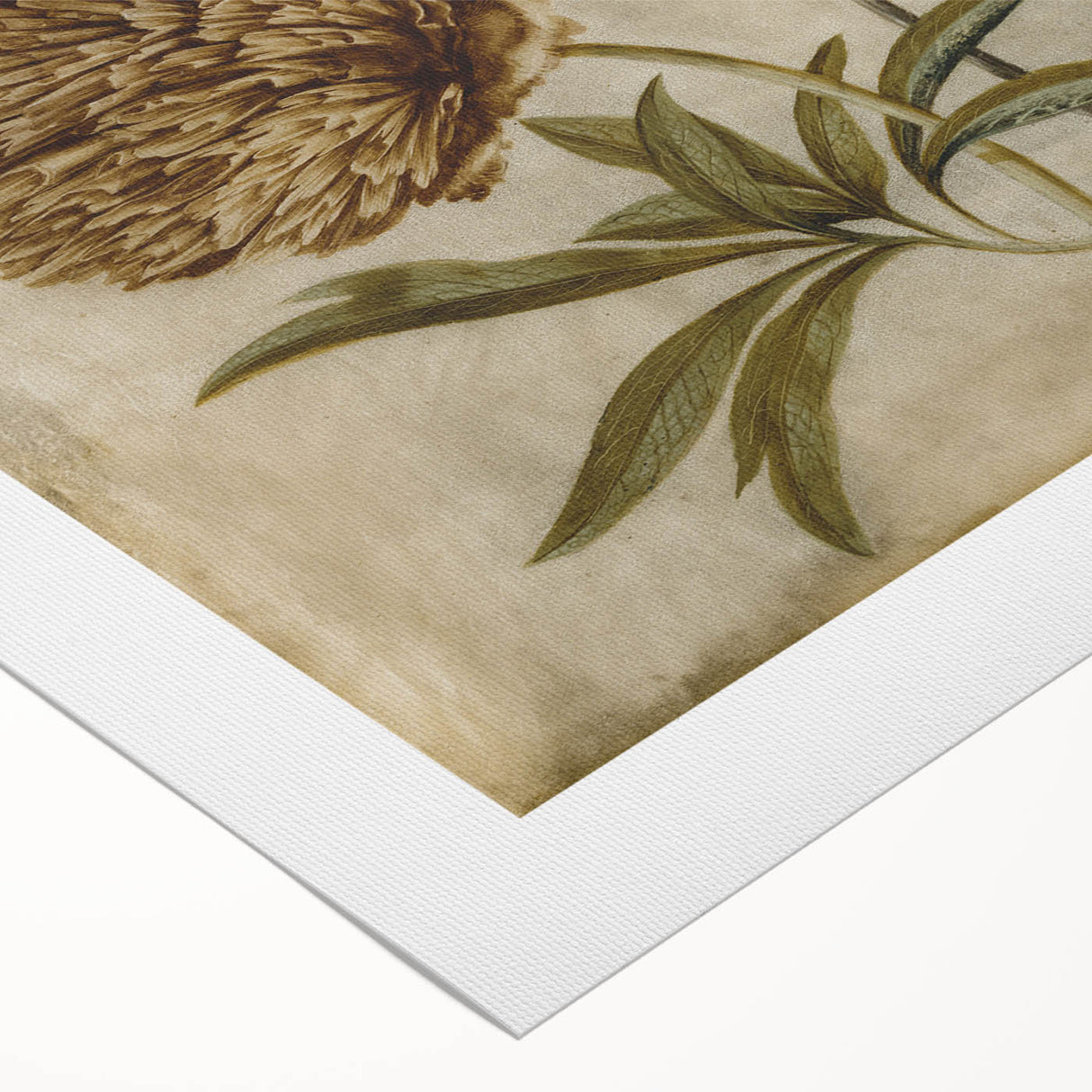 Grunge Wall Art: Botanical Insects Illustration | Vintage Grunge Canvas Print