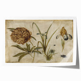 Grunge Wall Art: Botanical Insects Illustration | Vintage Grunge Canvas Print