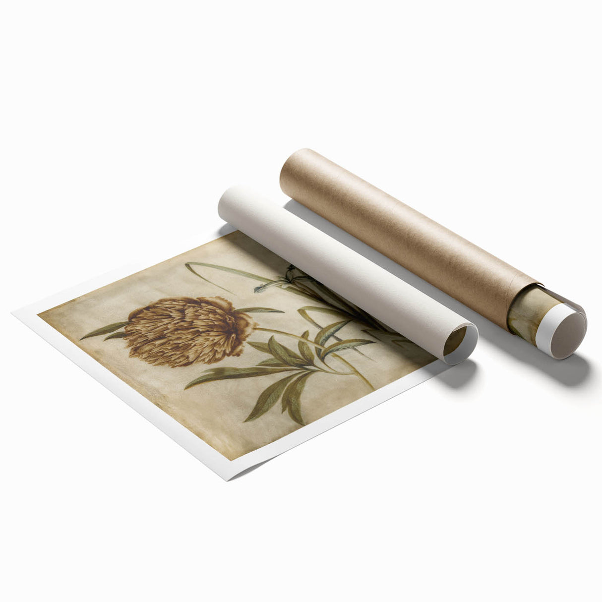 Grunge Wall Art: Botanical Insects Illustration | Vintage Grunge Canvas Print