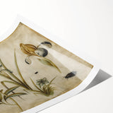 Grunge Wall Art: Botanical Insects Illustration | Vintage Grunge Canvas Print