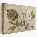 Grunge Wall Art: Botanical Insects Illustration | Vintage Grunge Canvas Print