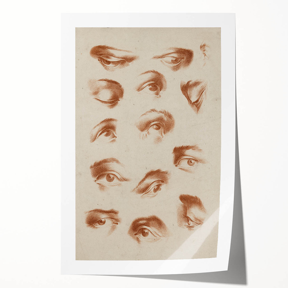 Grunge Wall Art | Vintage Eye Study Sketch | Abstract Grunge Canvas Print
