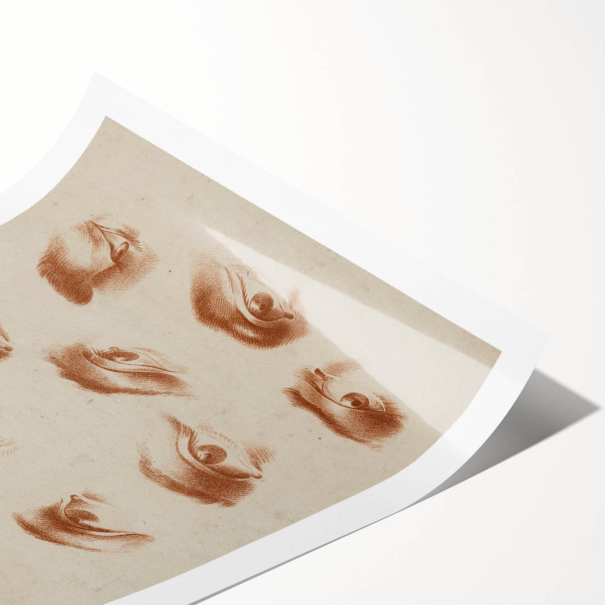 Grunge Wall Art | Vintage Eye Study Sketch | Abstract Grunge Canvas Print