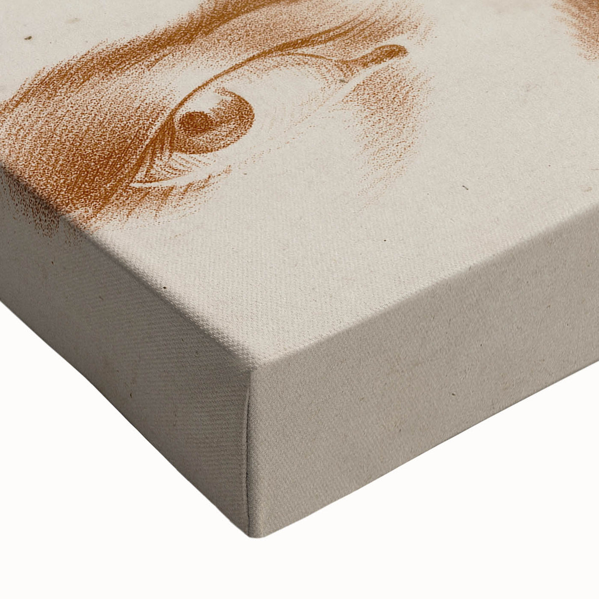 Grunge Wall Art | Vintage Eye Study Sketch | Abstract Grunge Canvas Print