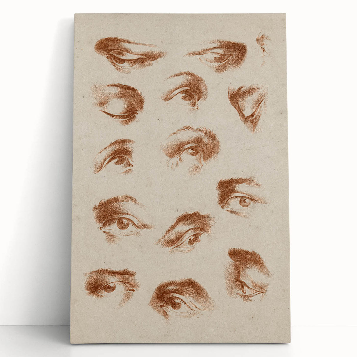 Grunge Wall Art | Vintage Eye Study Sketch | Abstract Grunge Canvas Print