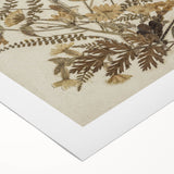 Grunge Wall Art | Vintage Botanical Pressed Flowers | Abstract Grunge Print