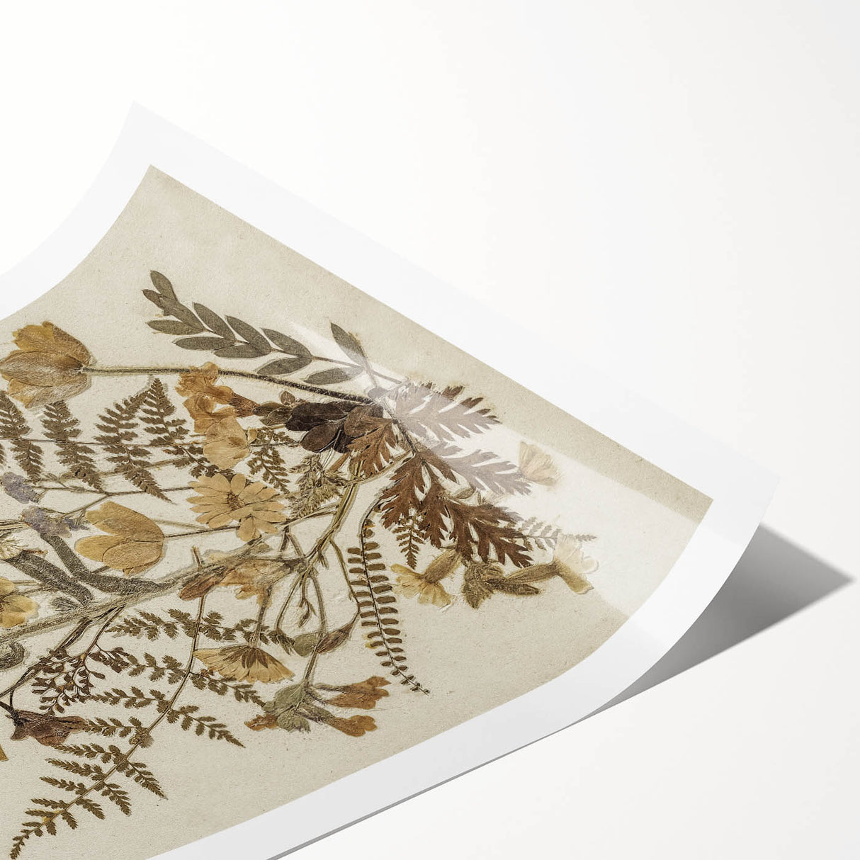 Grunge Wall Art | Vintage Botanical Pressed Flowers | Abstract Grunge Print