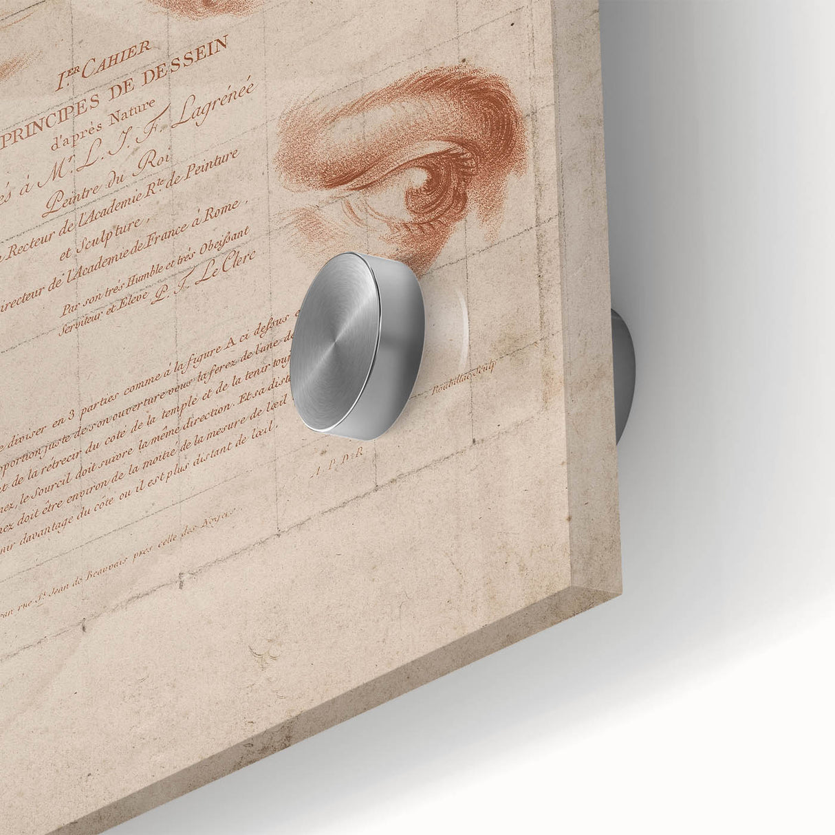 Grunge Wall Art | Vintage Eye Anatomy Study | Abstract Grunge Print