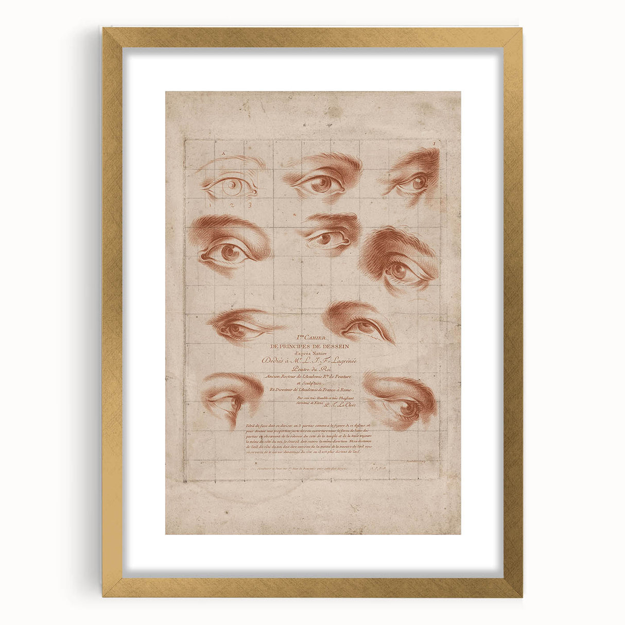 Grunge Wall Art | Vintage Eye Anatomy Study | Abstract Grunge Print