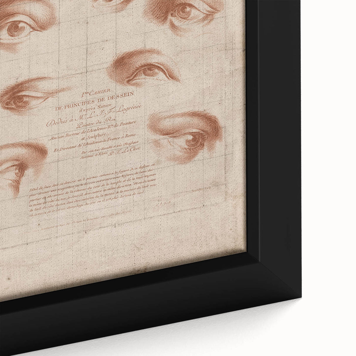 Grunge Wall Art | Vintage Eye Anatomy Study | Abstract Grunge Print