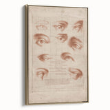 Grunge Wall Art | Vintage Eye Anatomy Study | Abstract Grunge Print