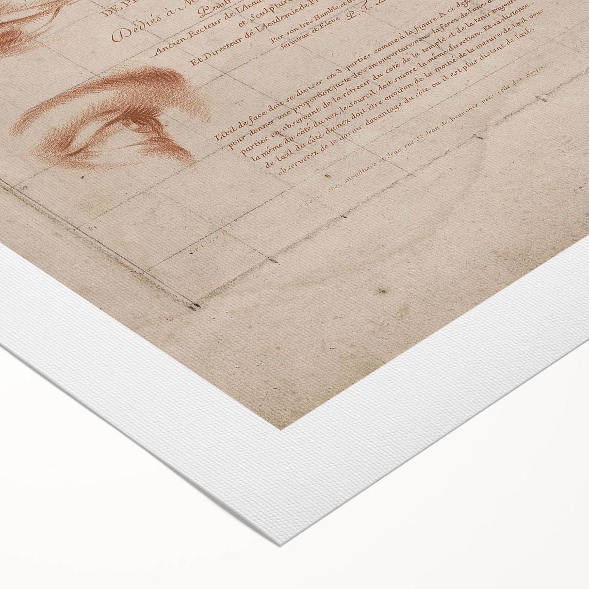 Grunge Wall Art | Vintage Eye Anatomy Study | Abstract Grunge Print
