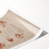 Grunge Wall Art | Vintage Eye Anatomy Study | Abstract Grunge Print