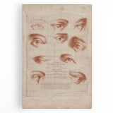 Grunge Wall Art | Vintage Eye Anatomy Study | Abstract Grunge Print