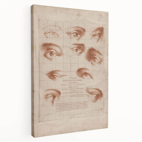 Grunge Wall Art | Vintage Eye Anatomy Study | Abstract Grunge Print