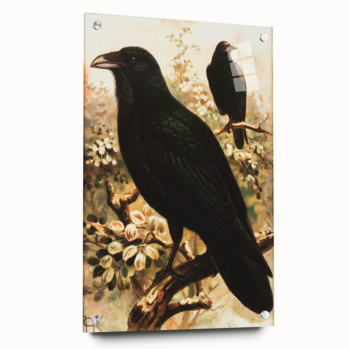 Grunge Wall Art | Vintage Raven Bird Sketch | Abstract Grunge Nature Print