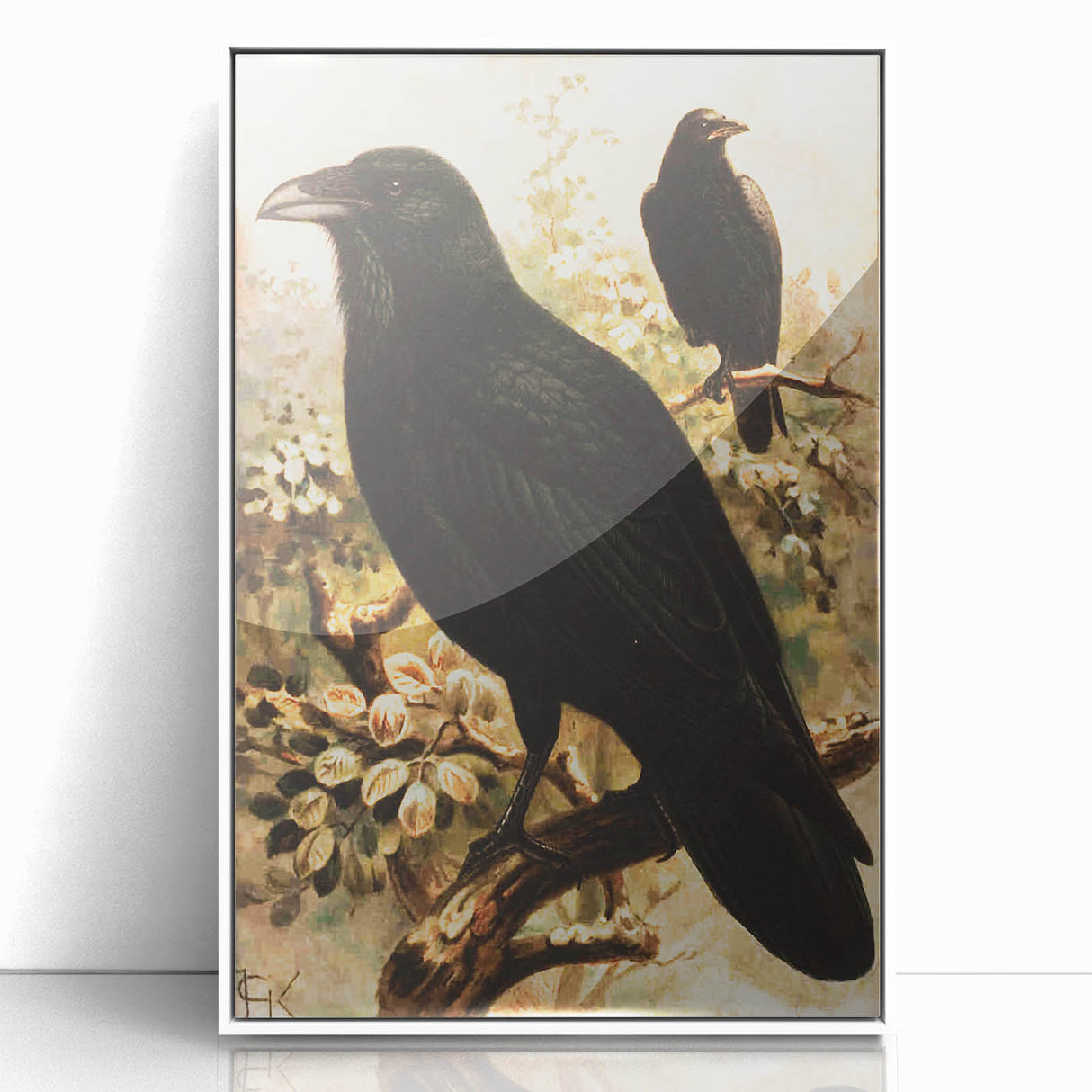 Grunge Wall Art | Vintage Raven Bird Sketch | Abstract Grunge Nature Print