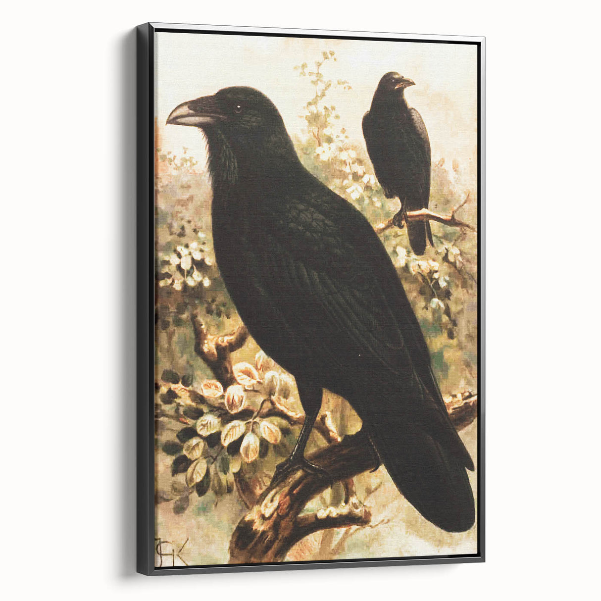Grunge Wall Art | Vintage Raven Bird Sketch | Abstract Grunge Nature Print