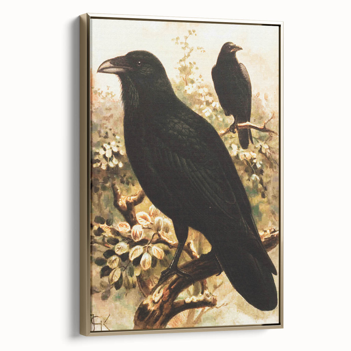 Grunge Wall Art | Vintage Raven Bird Sketch | Abstract Grunge Nature Print