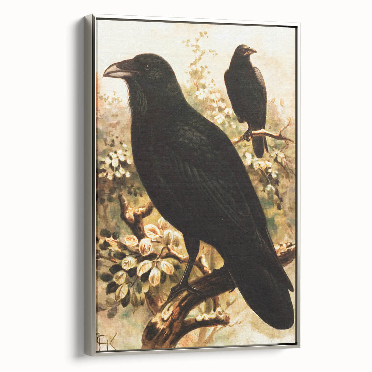 Grunge Wall Art | Vintage Raven Bird Sketch | Abstract Grunge Nature Print