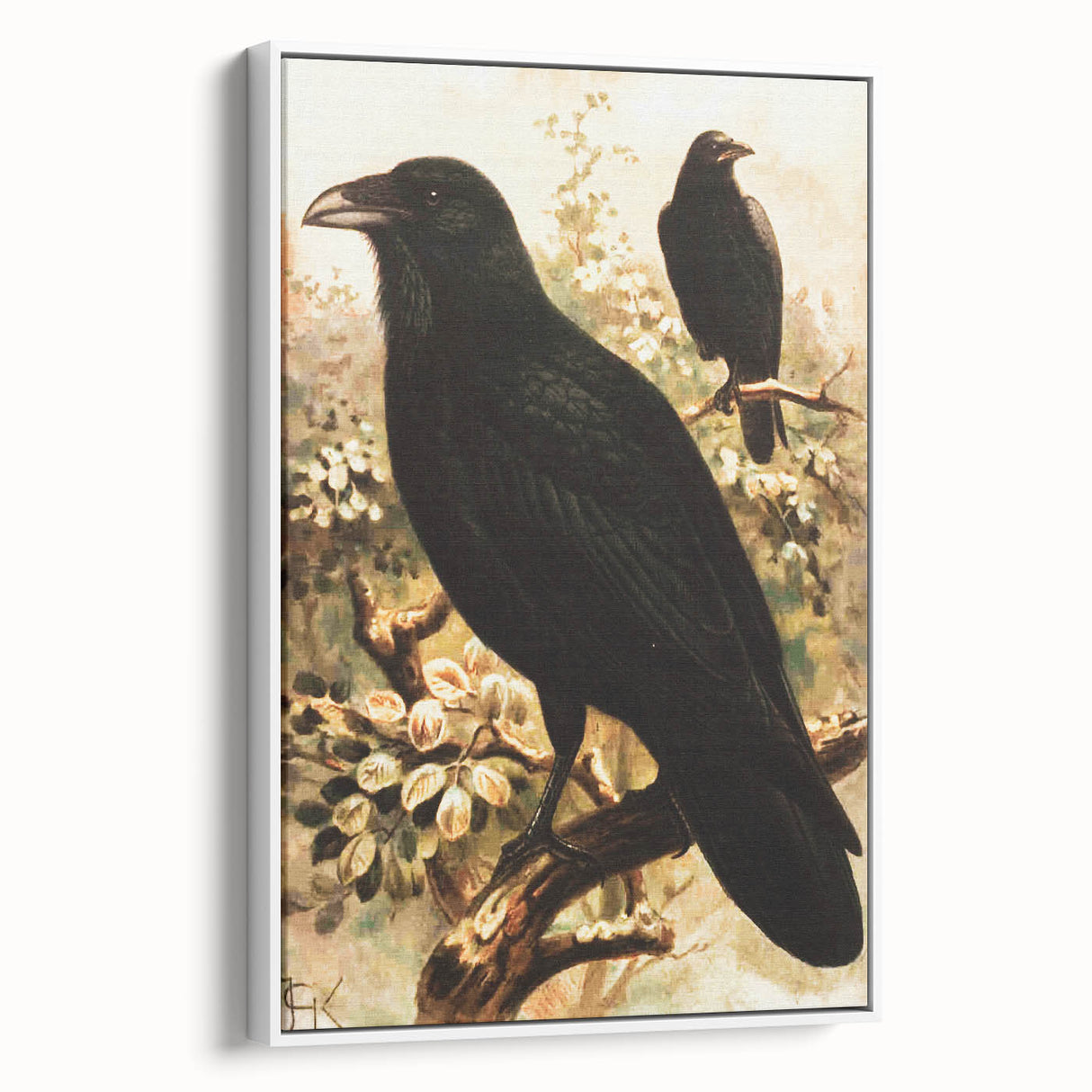 Grunge Wall Art | Vintage Raven Bird Sketch | Abstract Grunge Nature Print