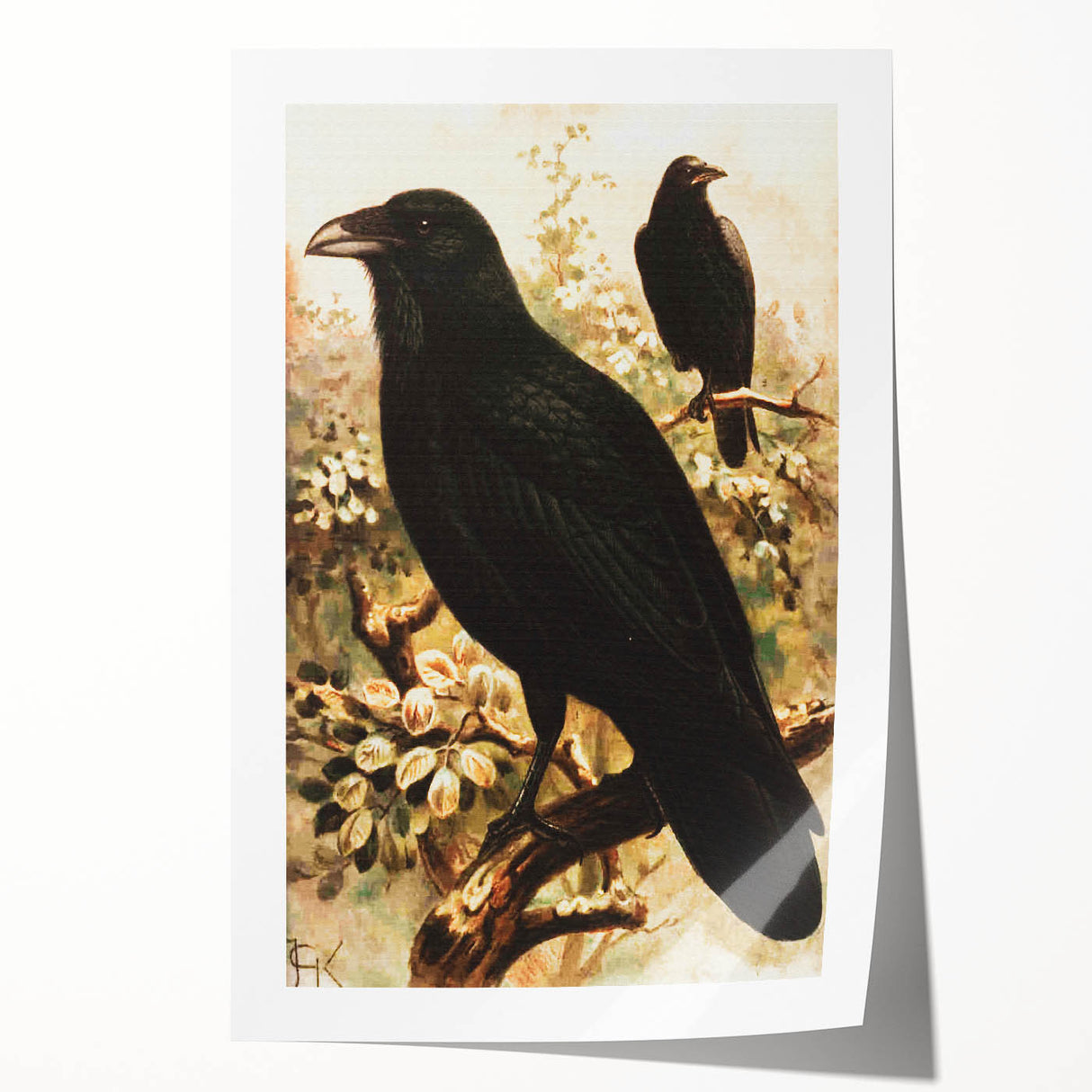 Grunge Wall Art | Vintage Raven Bird Sketch | Abstract Grunge Nature Print