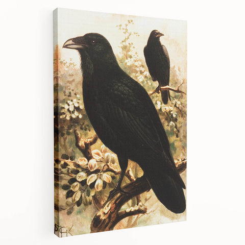 Grunge Wall Art | Vintage Raven Bird Sketch | Abstract Grunge Nature Print