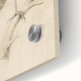 Grunge Wall Art | Vintage Bird Sketch | Abstract Grunge Nature Print