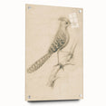 Grunge Wall Art | Vintage Bird Sketch | Abstract Grunge Nature Print