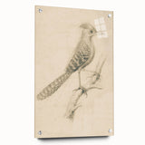 Grunge Wall Art | Vintage Bird Sketch | Abstract Grunge Nature Print