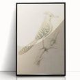Grunge Wall Art | Vintage Bird Sketch | Abstract Grunge Nature Print