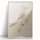 Grunge Wall Art | Vintage Bird Sketch | Abstract Grunge Nature Print