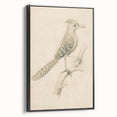 Grunge Wall Art | Vintage Bird Sketch | Abstract Grunge Nature Print
