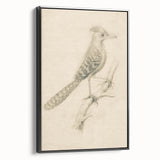 Grunge Wall Art | Vintage Bird Sketch | Abstract Grunge Nature Print