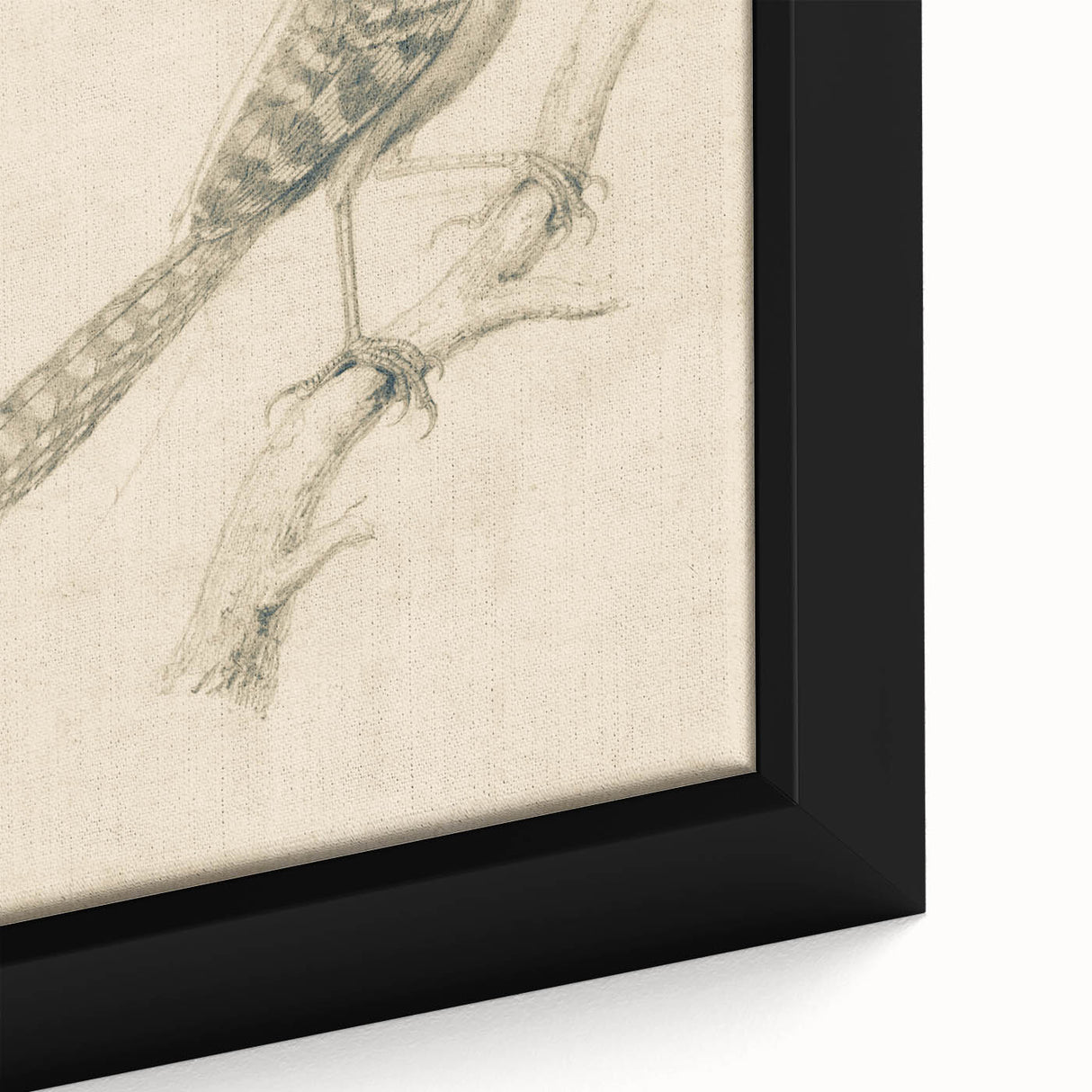 Grunge Wall Art | Vintage Bird Sketch | Abstract Grunge Nature Print