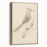 Grunge Wall Art | Vintage Bird Sketch | Abstract Grunge Nature Print