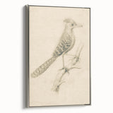 Grunge Wall Art | Vintage Bird Sketch | Abstract Grunge Nature Print