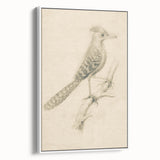 Grunge Wall Art | Vintage Bird Sketch | Abstract Grunge Nature Print