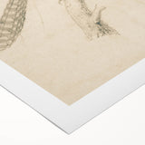 Grunge Wall Art | Vintage Bird Sketch | Abstract Grunge Nature Print